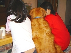 kousuke_20.jpg