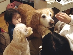 kousuke_25.jpg