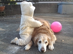 kousuke_27.jpg