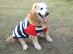 kousuke_33.jpg