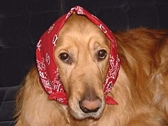 kousuke_39.jpg