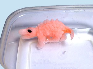 mago_egg_h241127_04.jpg