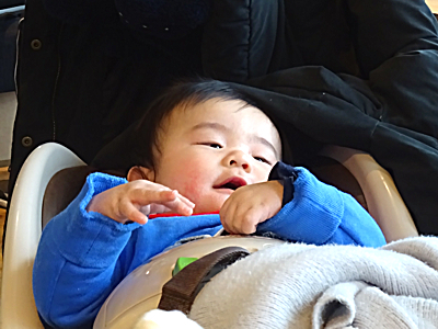 mago_kaeru_h310111.jpg