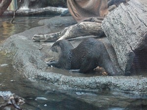 night_zoo_04_s.jpg