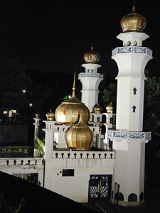 night_zoo_09_s.jpg