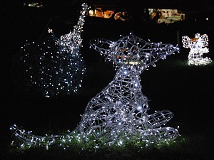 night_zoo_15_s.jpg