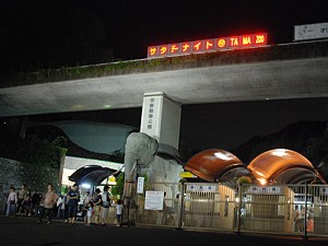 night_zoo_16_s.jpg