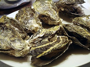 oyster_h2301_06_s.jpg