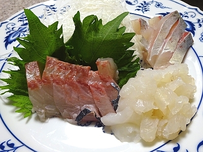sakana_h290509_02.jpg