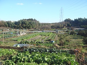 sanpo_h211218_01_s.jpg