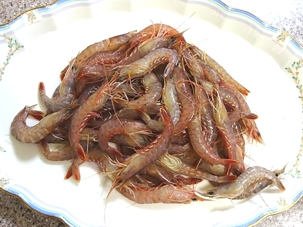 sengyo_h290217_04.jpg