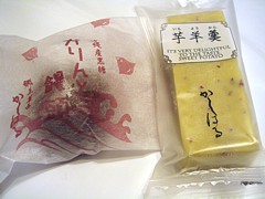 shizuoka_h2209_04.jpg