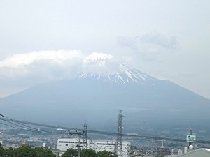 shizuoka_h240519_08.jpg