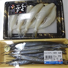 shizuoka_h240519_09a.jpg
