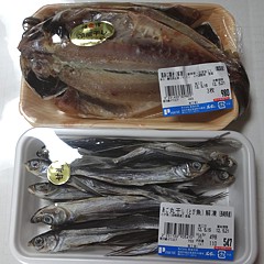 shizuoka_h240519_09b.jpg