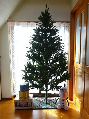 tree_h291205_01.jpg