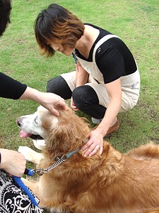 tsuuin_h2306_03_s.jpg