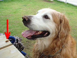 tsuuin_h2306_04_s.jpg